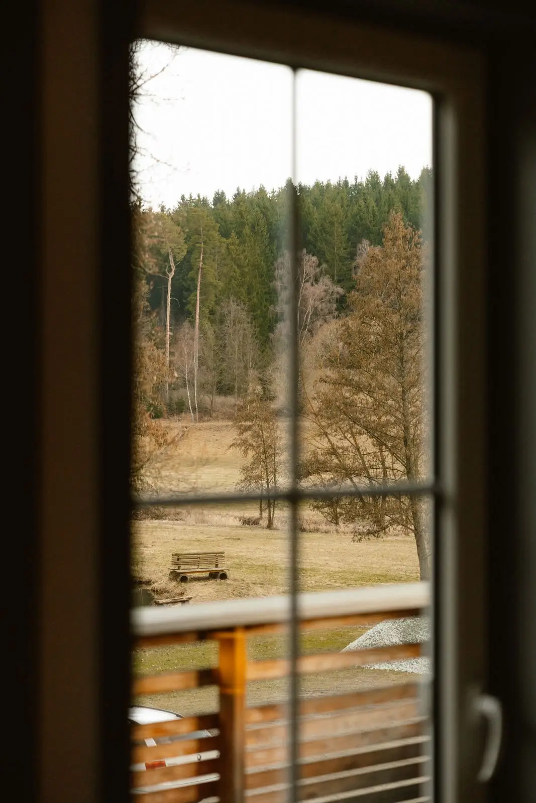 Doppelzimmer: Blick aus dem Sprossenfenster auf Wiese und Wald