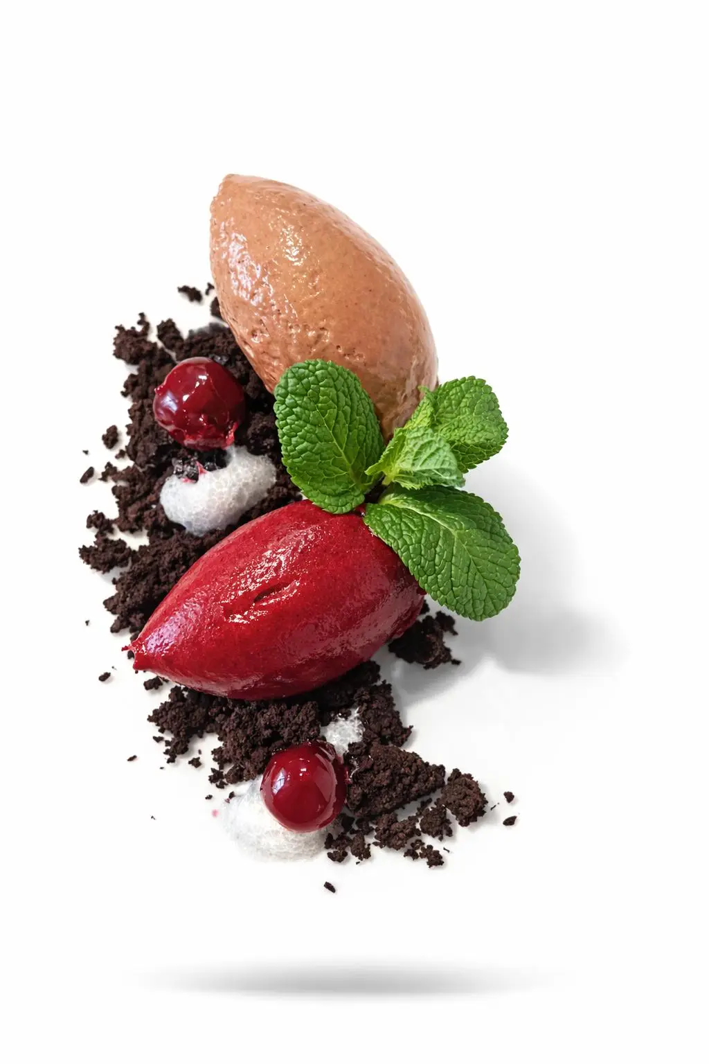 Dessert with two kinds of sorbet, chocolate soil and mint
