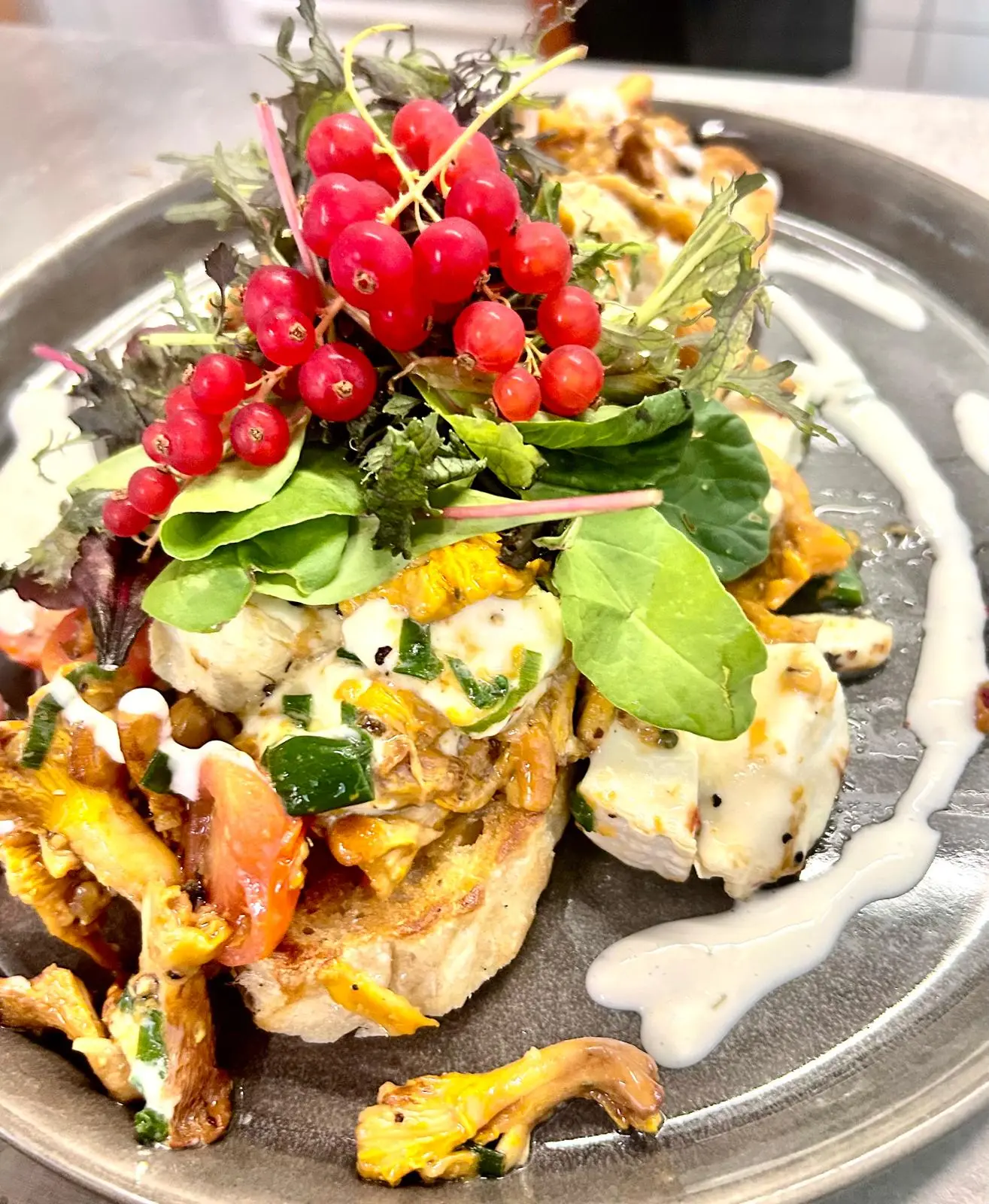 Chanterelles on toasted bread with redcurrants